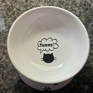 Raise glass cat bowl